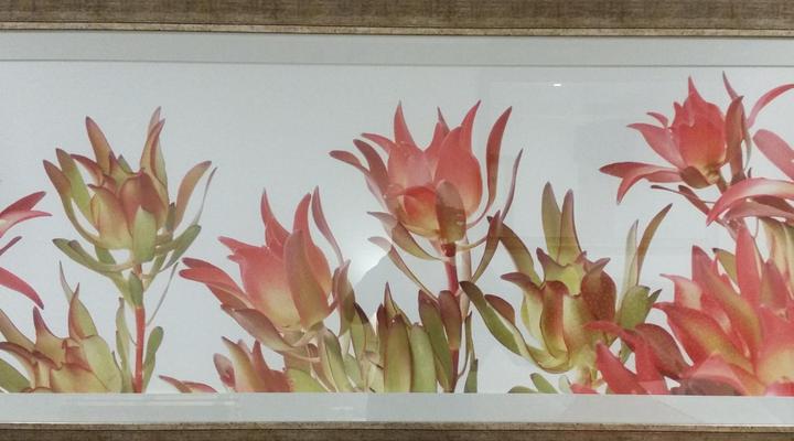 Pumula Lodge Knysna 4 Star GuestHouse