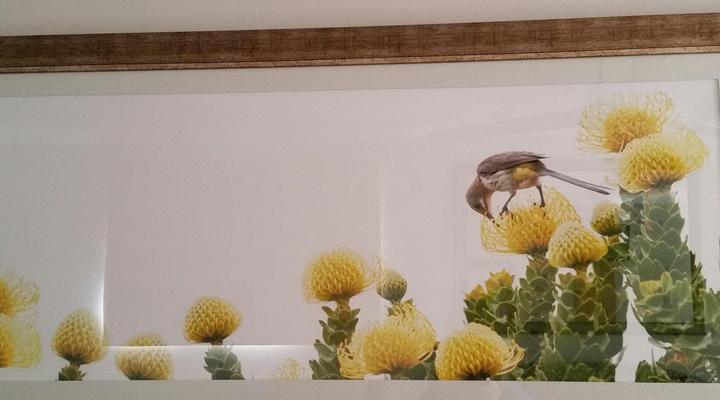 Pumula Lodge Knysna 4 Star GuestHouse