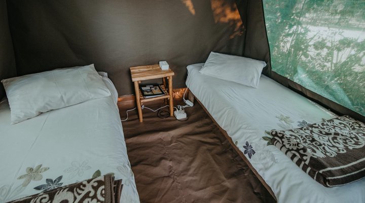 Tsitsikamma Backpackers