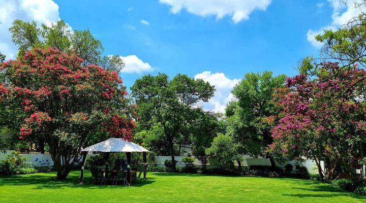 Richtershuyz Lifestyle Guesthouse