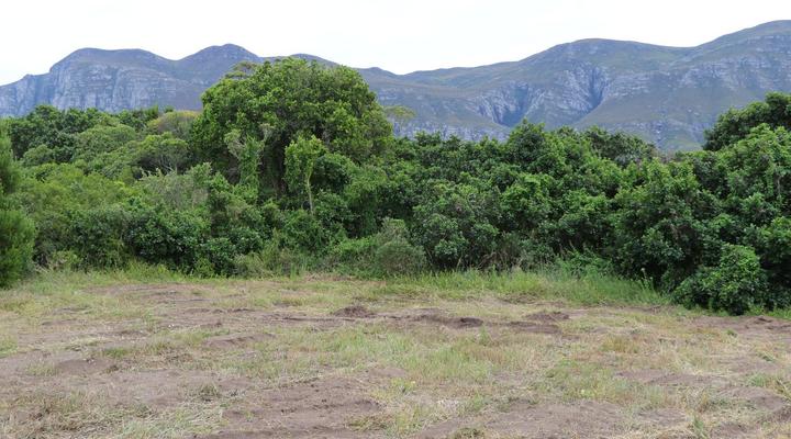 Rivers End Farm Stanford