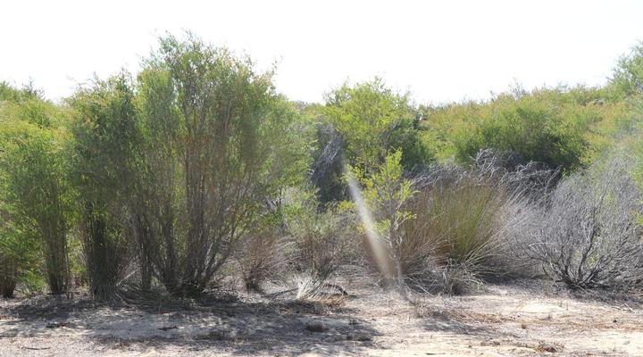 Rivers End Farm Stanford