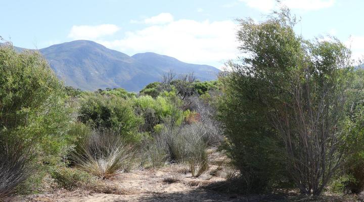 Rivers End Farm Stanford