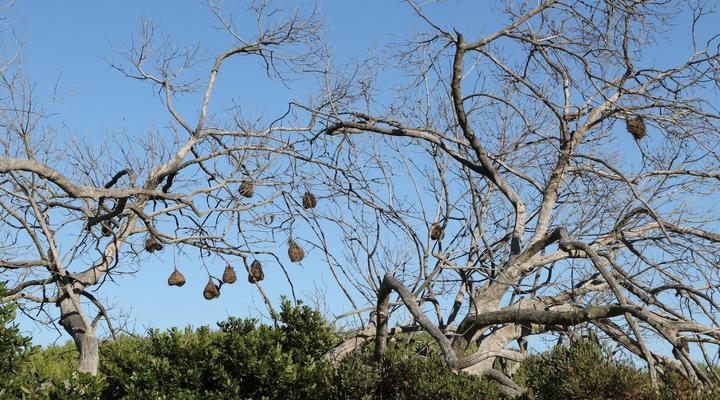 Rivers End Farm Stanford