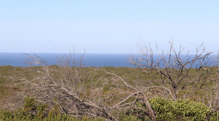 Rivers End Farm Stanford