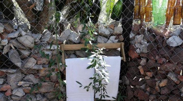 Cederkloof Botanical Retreat