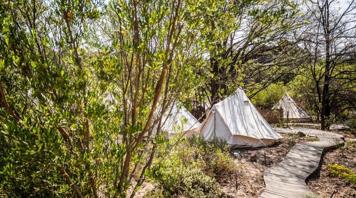 Cederkloof Botanical Retreat