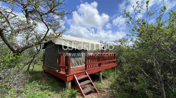 Horseshoe Game Reserve