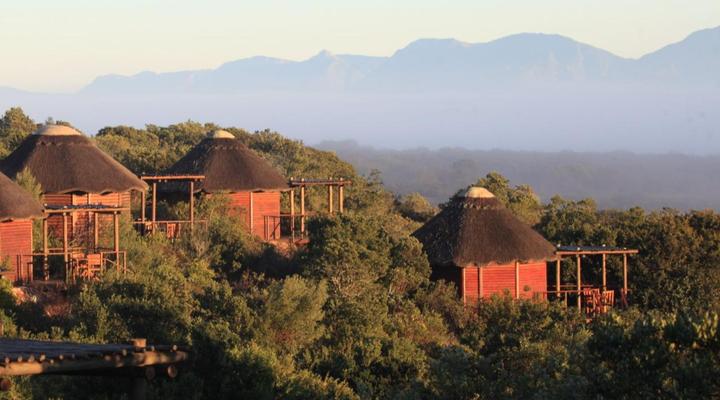 Garden Route Game Lodge
