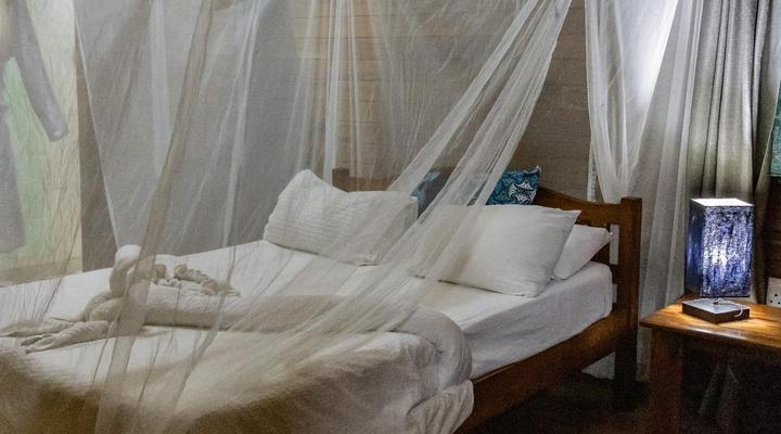 East Africa Safari Resort