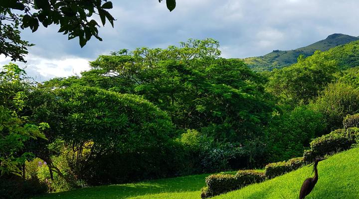 Wide Horizons Mountain Retreat