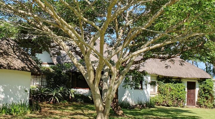 Wide Horizons Mountain Retreat