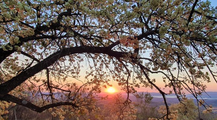 Wide Horizons Mountain Retreat