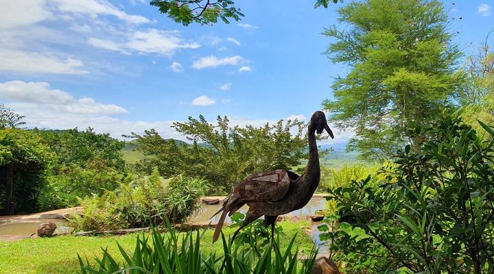 Wide Horizons Mountain Retreat