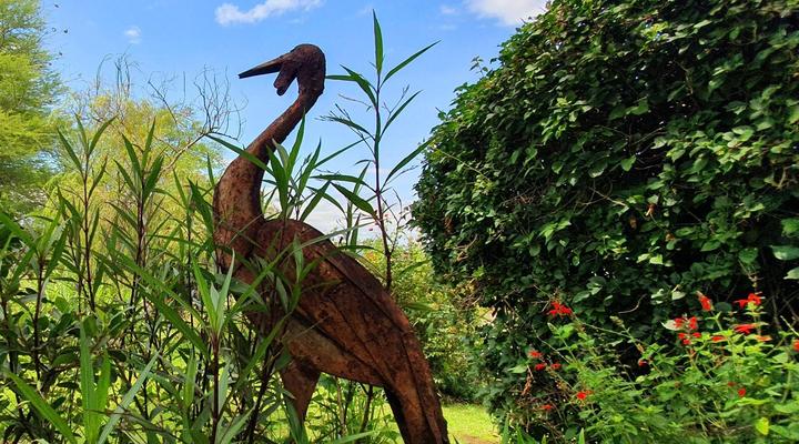 Wide Horizons Mountain Retreat