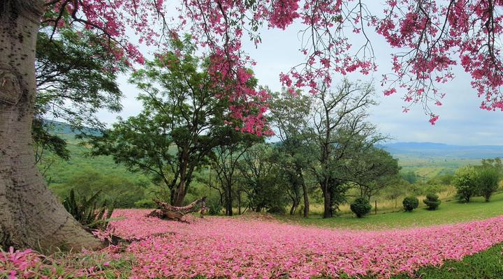 Wide Horizons Mountain Retreat