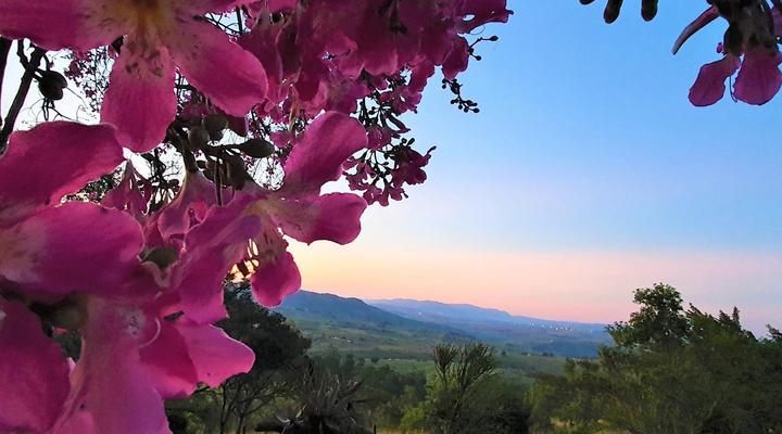 Wide Horizons Mountain Retreat