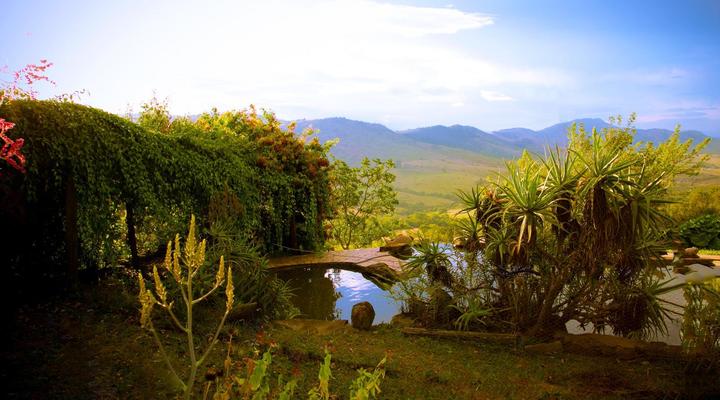 Wide Horizons Mountain Retreat