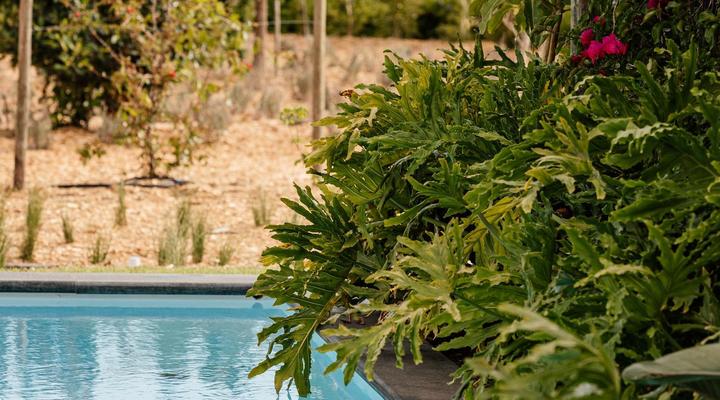 Ludus Magnus Luxury Guest House