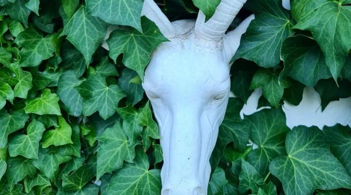 Six on Reinecke Guesthouse