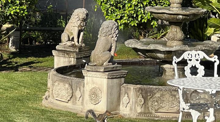 Six on Reinecke Guesthouse