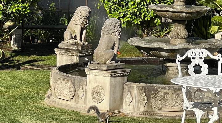 Six on Reinecke Guesthouse