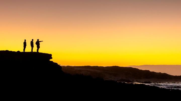 Bellevue Forest Reserve