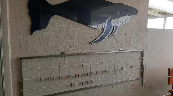 Beach Splendor @ 24 La Crete Sands