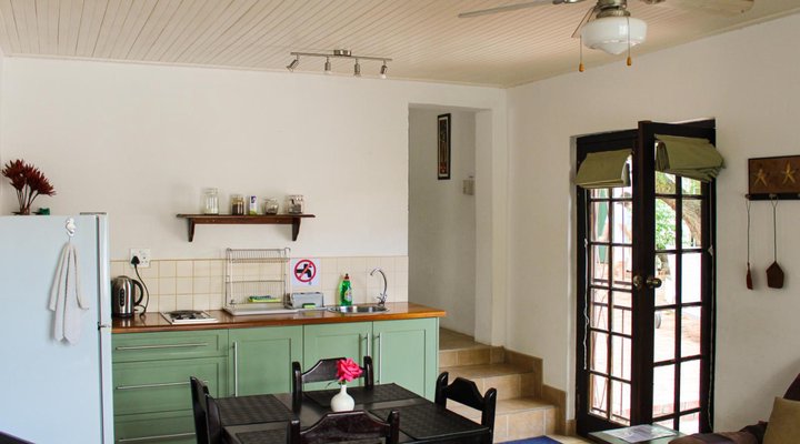 The Little Gem Montagu