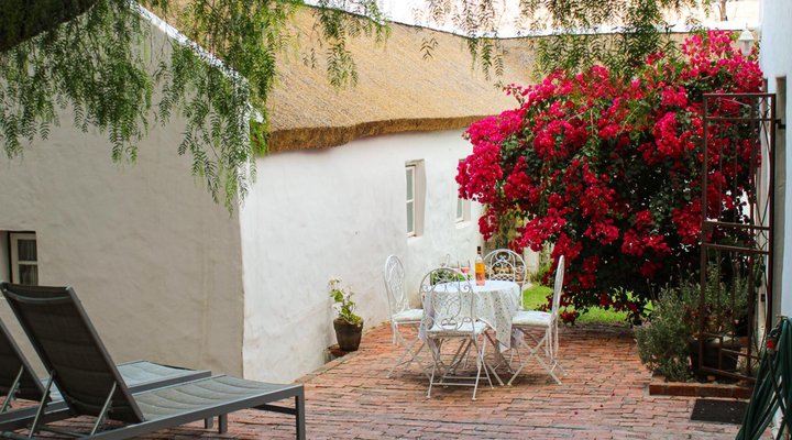 The Little Gem Montagu