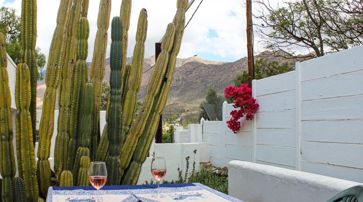 The Little Gem Montagu