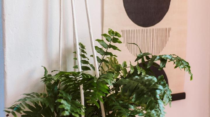 Farm Cottages at Au d'Brandy Route