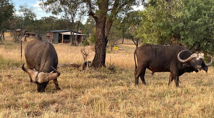Newburg Lodge & Luxury Bush Tents