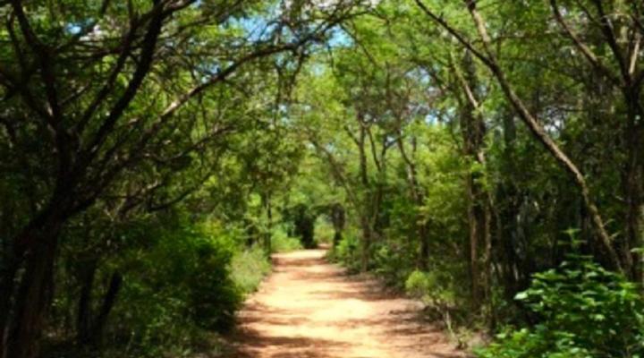 Shangrila-Innibos Country Lodge Hartbeespoortdam