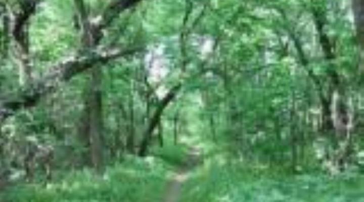 Shangrila-Innibos Country Lodge Hartbeespoortdam