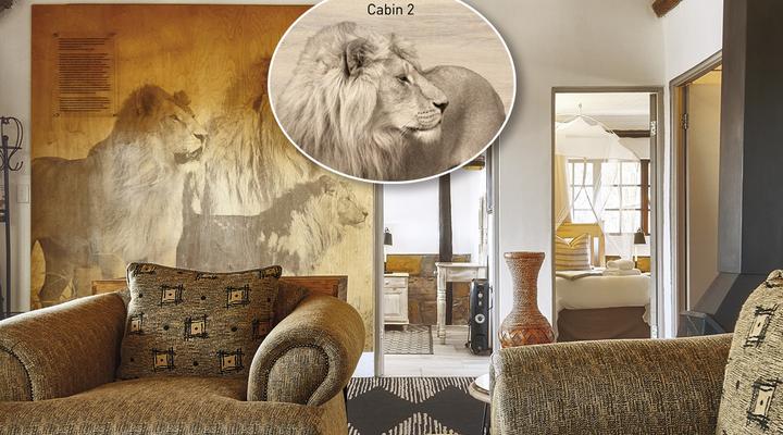 LIONSROCK Big Cat Sanctuary