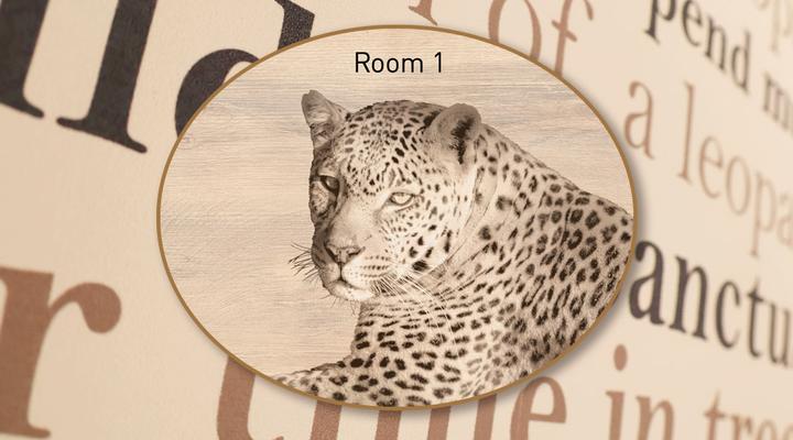 LIONSROCK Big Cat Sanctuary