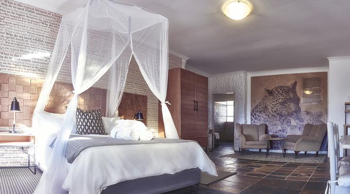 LIONSROCK Big Cat Sanctuary