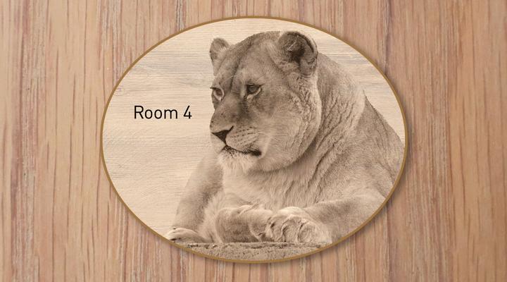 LIONSROCK Big Cat Sanctuary