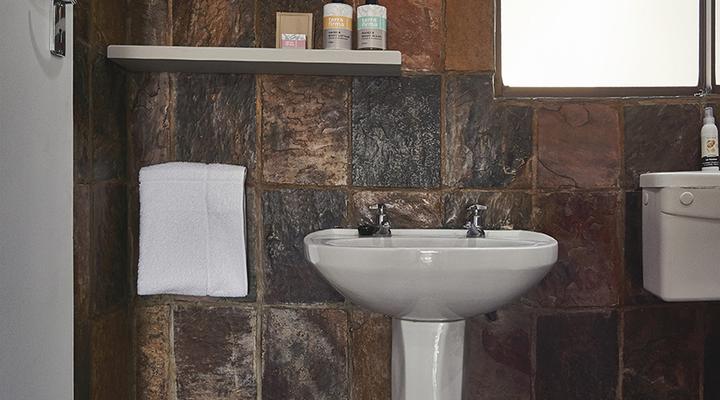 LIONSROCK Big Cat Sanctuary