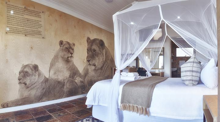 LIONSROCK Big Cat Sanctuary