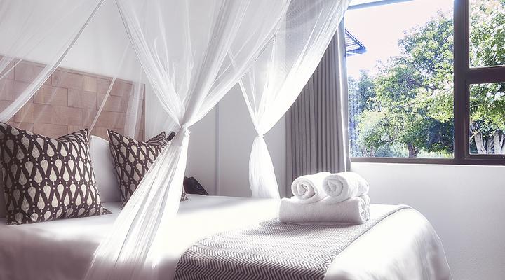 LIONSROCK Big Cat Sanctuary