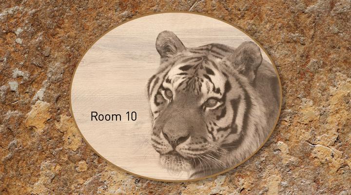 LIONSROCK Big Cat Sanctuary