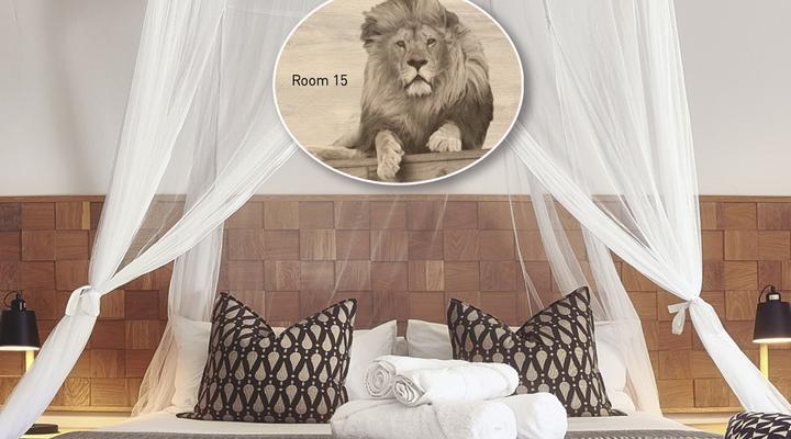 LIONSROCK Big Cat Sanctuary