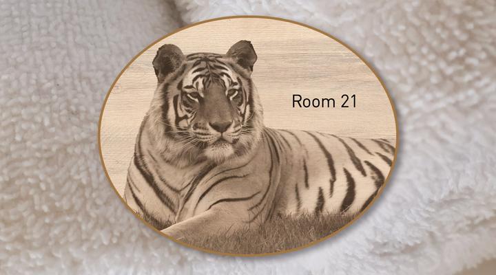 LIONSROCK Big Cat Sanctuary