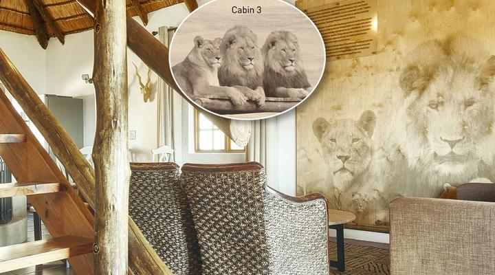 LIONSROCK Big Cat Sanctuary