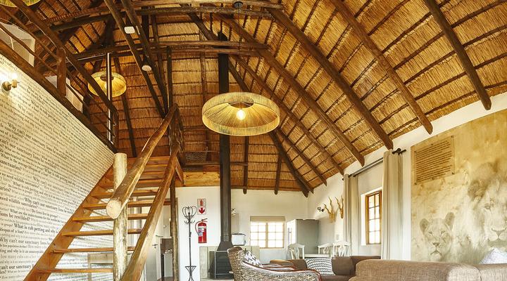 LIONSROCK Big Cat Sanctuary