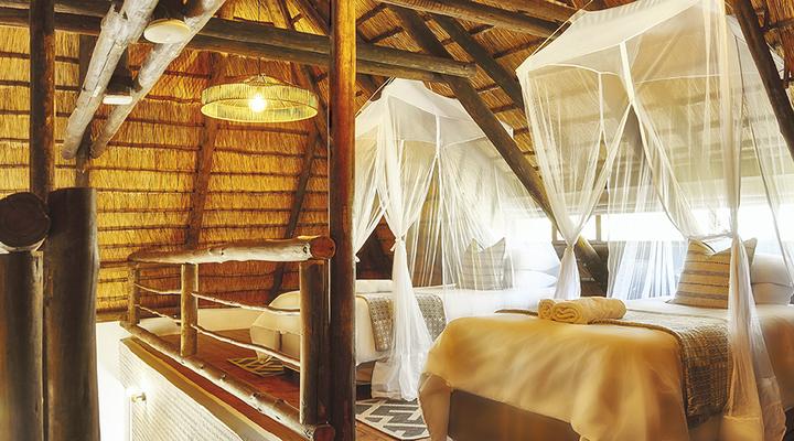 LIONSROCK Big Cat Sanctuary