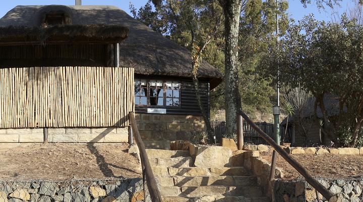 LIONSROCK Big Cat Sanctuary