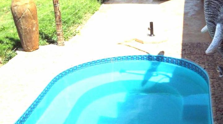 JAK Strydom Private Nature Reserve